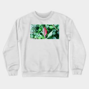 Unus Crewneck Sweatshirt